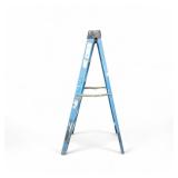 6 Foot Ladder