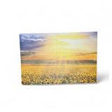 Stretched Canvas Artwork 24x36