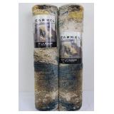 Carmel Indoor/Outdoor Runner Rug 2