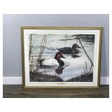 Framed Print by Willem S. De Beer “Canvas Backs”