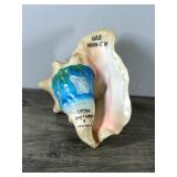 Conch Shell with Picture of U.S.S MINN-CON Ship - Says Captain David J. Conner & Charles Burnside