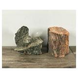 Petrified Rock & Possible Lava Rock