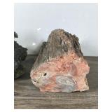 Petrified Rock & Possible Lava Rock
