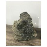 Petrified Rock & Possible Lava Rock