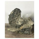 Petrified Rock & Possible Lava Rock