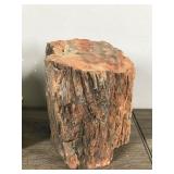 Petrified Rock & Possible Lava Rock