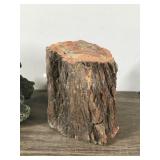 Petrified Rock & Possible Lava Rock