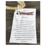 Alligator Taxidermy Skull / Head