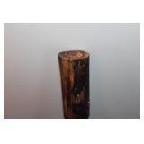 Rain Stick