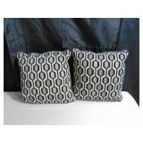 2 Pack  Pillows 19"x19"