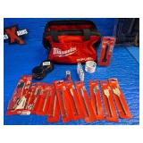 Milwaukee variety Lot