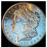 Uncirculated 1902-O Morgan Silver Dollar, Original Surfaces