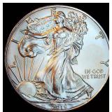 BU 2019 American Silver Eagle