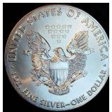 BU 2019 American Silver Eagle