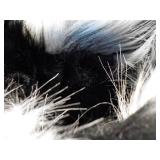 Black, Gray and White Fur Lined Boo...