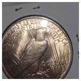 2023 Peace  Dollar $1 BU Condition