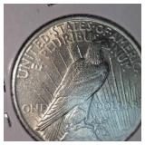 1923 Peace Dollar $1 BU Condition