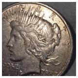 1923 D Peace Dollar $1 Light Toning