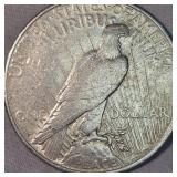 1923 D Peace Dollar $1 Light Toning