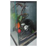 Reptile Tank with Contents