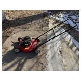 Briggs & Stratton 450 Series Lawn Mower HT18-094-032-01 - 20-In Cut