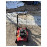 Briggs & Stratton 450 Series Lawn Mower HT18-094-032-01 - 20-In Cut