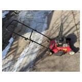 Briggs & Stratton 450 Series Lawn Mower HT18-094-032-01 - 20-In Cut