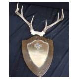 ANTLERS / WOODEN TROPHY