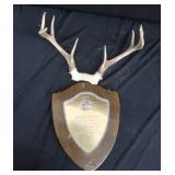 ANTLERS / WOODEN TROPHY