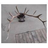 ELK ANTLER MOUNT