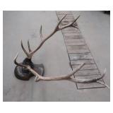 ELK ANTLER MOUNT