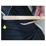 ANTLERS / WOODEN TROPHY