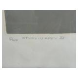 Framed Study in Grey III - Edition 57/300, 1979 Lithograph by A. Wood