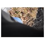 1999 Basstender Dinghy Boat on Trailer