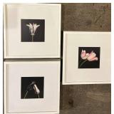 Challa - Keukenhof Tulip Art Prints - Framed Set of 3