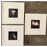 Challa - Keukenhof Tulip Art Prints - Framed Set of 3