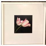 Challa - Keukenhof Tulip Art Prints - Framed Set of 3