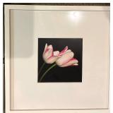 Challa - Keukenhof Tulip Art Prints - Framed Set of 3