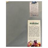 Challa - Keukenhof Tulip Art Prints - Framed Set of 3