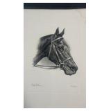 carry back Kentucky derby winner lithograph