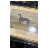 1876 DONALD greyhound etching