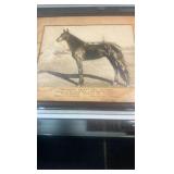 1925 siliko boy horse racing photograph