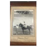 sleepy port horse racing photograph