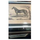 mid 1800s Monmouth eclipse etching