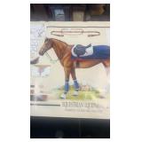 equestrian equipment poster