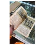 antique illustrated international stock book