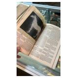 antique illustrated international stock book