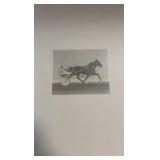 1979 gene gray signed print