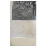 1891 Harrington bird signed print