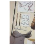 equestrian equipment poster